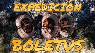 Expedición Boletus  Cantavieja  Equipo Al Filo  2024 [upl. by Notsecnirp]