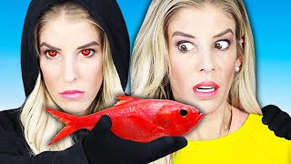 Eating Only One Color Food Challenge for 24 Hours Bad Idea Rebecca Zamolo [upl. by Smeaj]