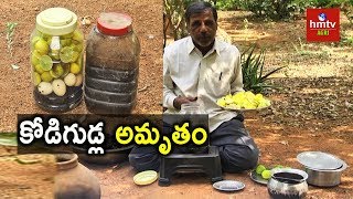 Kodigudla Amrutham Egg Amino Acid Preparation  Natural Farming  hmtv Agri [upl. by Annawot]