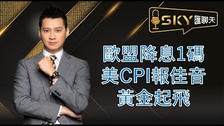 【SKY匯聊天 89】歐盟降息一碼 美CPI 報佳音 黃金起飛 [upl. by Aneem]