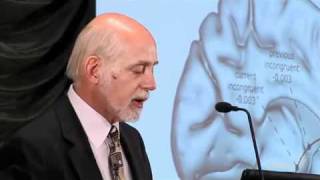 Dr Russell Barkley  ADHD Emotional Regulation SaveYouTubecommp4 [upl. by Damas664]