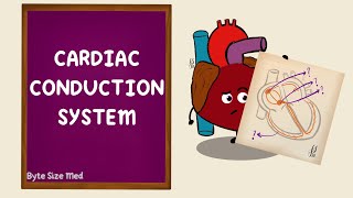 Keeping a heart beating on time A visit to the electrophysiology lab [upl. by Dara334]