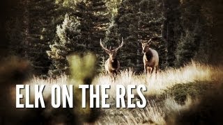 Elk Hunt on the Reservation  New Mexico Elk Hunt [upl. by Brucie332]