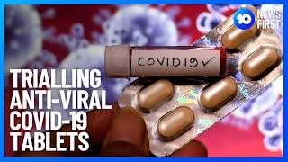 COVID19 AntiViral Tablets In Trial  10 News First [upl. by Rosamund]