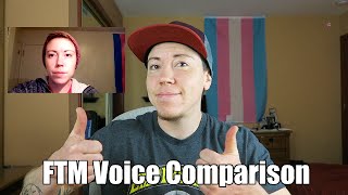 FTM Testosterone Voice Comparison [upl. by Llohcin267]