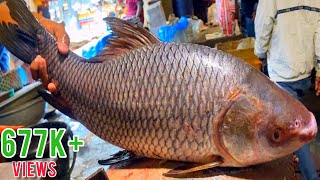 Fish Cutting Skills  Live Rohu Fish Cutting Skills In Fish Market [upl. by Eveiveneg20]