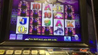 Buffalo Slot Machine Wins at Chumash Casino amp Resort [upl. by Nahtam700]