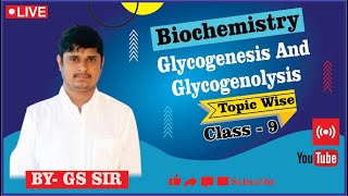 Reaction of Glycogenesis  Glycogenolysis Pathway  Reaction of Glycogenolysis  By GS Sir [upl. by Einamrej117]