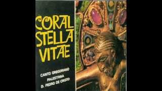 Coral Stela Vitae  Kyrie Fons Bonitatis  Canto Gregoriano [upl. by Gignac]