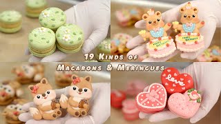 19 Kinds Of Macarons amp Meringues I Made [upl. by Enelad]