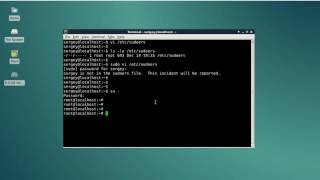 Как добавить пользователя в sudoers Команда sudo в Linux [upl. by Tiphanie]