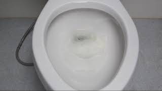 Toilet Flushing Performance Issues [upl. by Ojiram442]