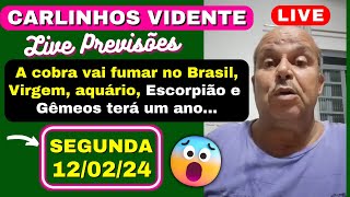 CARLINHOS VIDENTE PREVISÕES SEGUNDA 120224 A COBRA VAI FUMAR NO BRASIL 🇧🇷 🔥 [upl. by Aleyam]