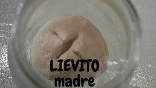 LIEVITO MADRE FATTO IN CASA [upl. by Hortensia]