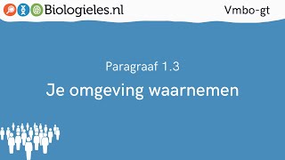 Vmbogt 3  De mens  3 Je omgeving waarnemen  Biologielesnl [upl. by Sleinad]