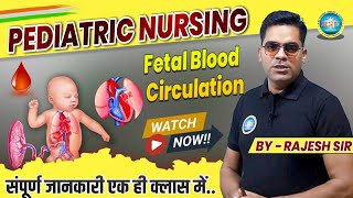 Fetal Blood Circulation For NORCET  DSSSB EXAMS  Fetal Circulation  Placental Circulation [upl. by Suidualc991]