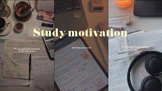 This is your reminder to study  aesthetic motivation [upl. by Atil]