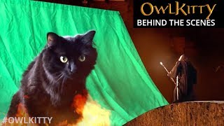 Lord of the Rings  OwlKitty Behind the Scenes [upl. by Haletta]