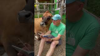 Reading rescue cow Maisie The Going to Bed Book by Sandra Boynton boynton cow [upl. by Mathe]