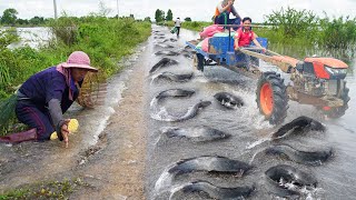 Top 5 Fishing Videos of Catfish in Flooded Roads Best Practices for Safety While Fishing in Floods [upl. by Margeaux]