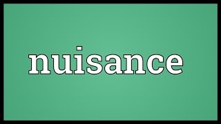 Nuisance Meaning [upl. by Ligetti]