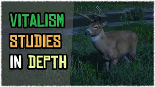 Animal transformation in Depth Vitalism studies Guide in red dead online Buck [upl. by Arbmik]