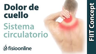 Sistema cardiocirculatorio y dolor de cuello espalda ¿Qué relación tienen [upl. by Ennoid83]