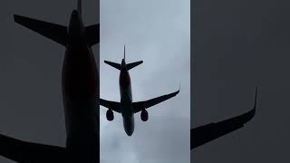 Easyjet takeoff aviation planespotting planes [upl. by Guy]