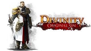 Divinity Original Sin  Vale ou não a pena jogar [upl. by Anawad945]