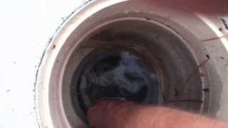 diy pool cleaning basics tutorial how to clean skimmer pool skimmer basket sammy bones [upl. by Ankeny]