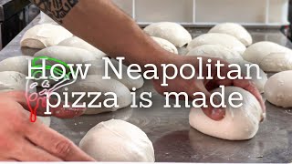 How The Neapolitan Pizza Dough Is Made [upl. by Nnayt269]