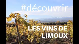 à la découverte des vins de Limoux [upl. by Johnna]