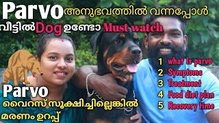 മഴക്കാലം parvo പടർന്നു പിടിക്കുന്നു വീട്ടിൽ നായ ഉണ്ടോ സൂക്ഷിച്ചോ 😱Parvo virus treatment parvo [upl. by Halli841]