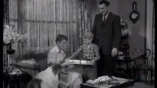 Lassie  Episode 217  quotThe Wrong Giftquot  Season 6 Ep 35  050860 [upl. by Saitam482]