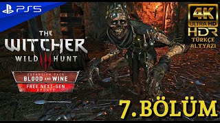 KAŞIK LANETİ  THE WITCHER 3 BLOOD AND WINE DLC NEXTGEN PS5 4K 60FPS HDR Türkçe Bölüm 7 [upl. by Nytsuj775]