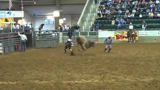 Williams NC Rodeo  Bull Jumps Into Crowd [upl. by Akyeluz]