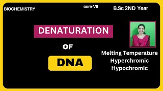 Denaturation of DNA BSc 2nd YearMelting TemperatureTmFactors Affect Melting Temperature [upl. by Gierc]