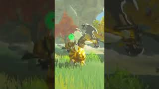 How to Basic  Easy Lynel Hunt  Pro Tips Zelda Breath of the Wild shorts botw comedy top [upl. by Norahs912]