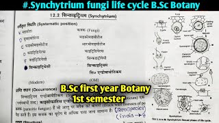 Life Cycle Synchytrium fungi  Asexual and Sexual reproduction Synchytrium fungi [upl. by Showker]