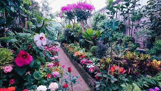 Un paseo por el mercado de plantas y flores en Viveros Coyoacán Ciudad de México 🇲🇽 [upl. by Salzhauer]