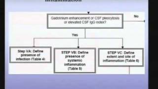 Transverse Myelitis Clinical and Immunologic Considerations [upl. by Hoy]