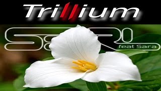 Trillium  S3RL feat Sara [upl. by Atirak471]