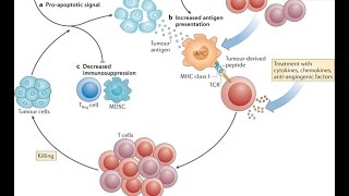 Cancer Prevention and Control [upl. by Nylorahs]