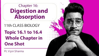 Topic 161 to 164 Digestion and Absorption in One Shot  Best Video for Human Physiology ft Vipin [upl. by Elleirol]