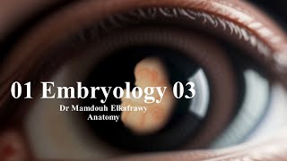 01 Embryology part3 الكفراوي أناتومى Elkafrawy Anatomy Basics [upl. by Zavras]