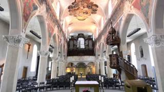 Konstanz  Dreifaltigkeitskirche [upl. by Narine421]