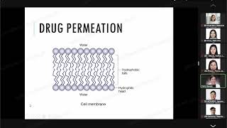 Pharmacokinetics Part 1 [upl. by Darcie]