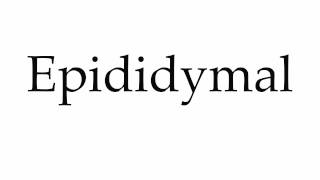 How to Pronounce Epididymal [upl. by Ikin]