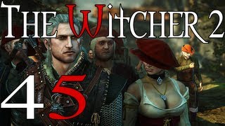 The Witcher 2 Assassins of Kings  Part 45 Radovid [upl. by Palermo]