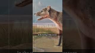 Last Video Of Extinct Animals  shorts [upl. by Hilaire]